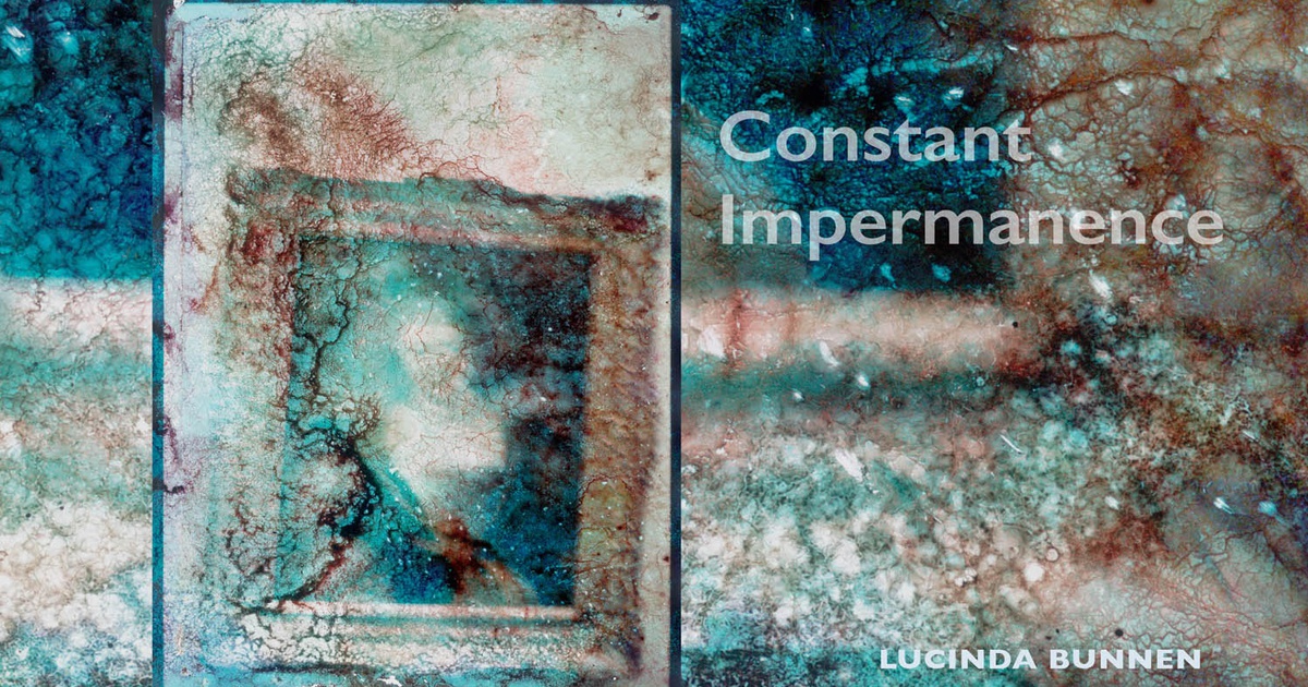 Publication: Constant Impermanence | Marcia Wood Gallery